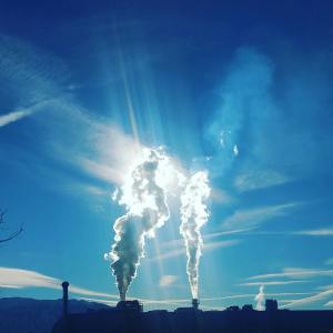 'Nature’s Visit To The Doctor' Story by Ibrahim, 9,Kolkata