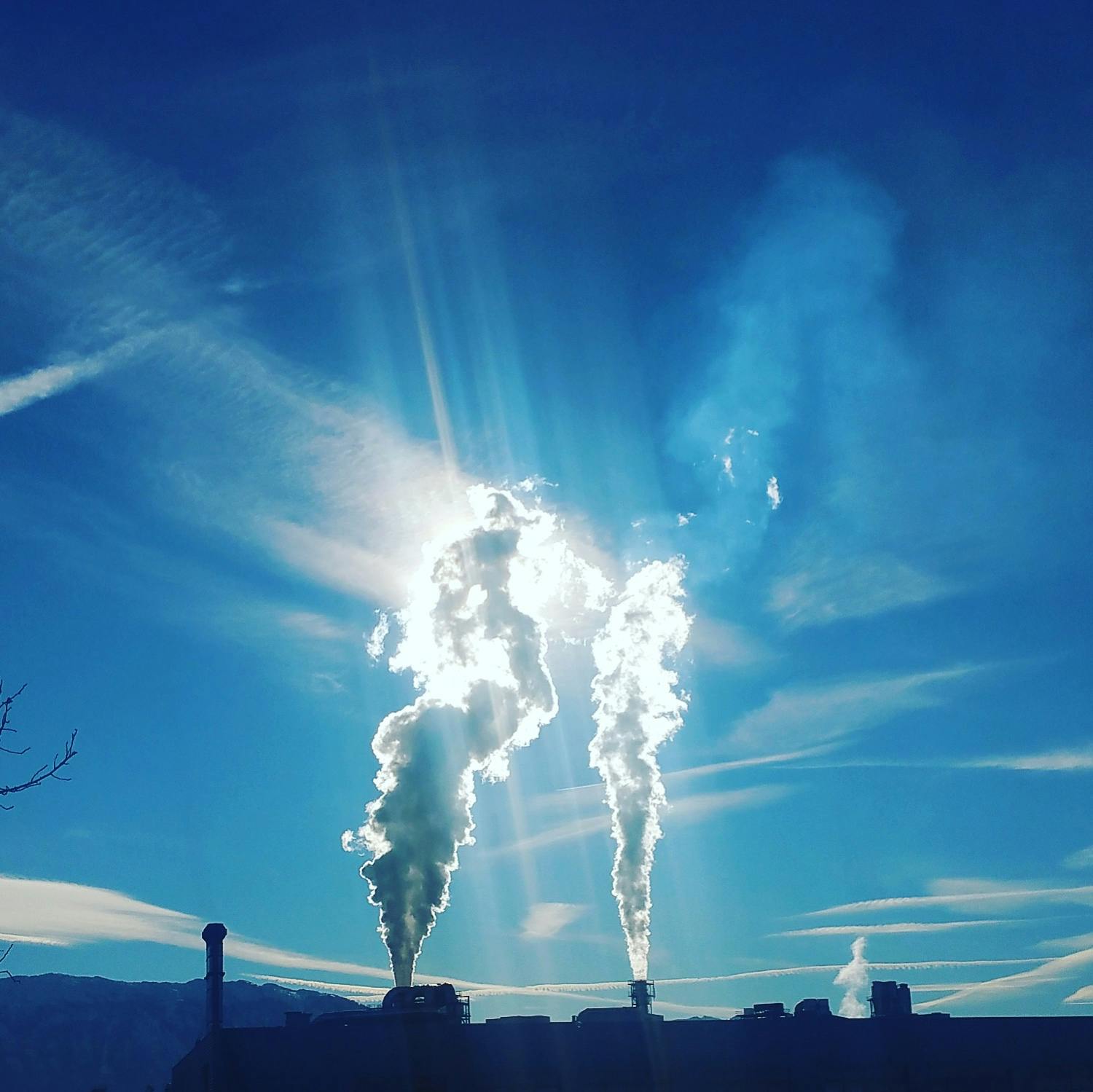 'Nature’s Visit To The Doctor' Story by Ibrahim, 9,Kolkata