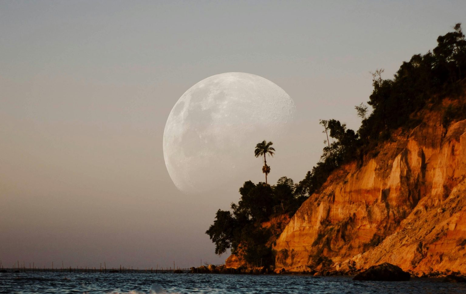 Who Is The Culprit? | Bookosmia