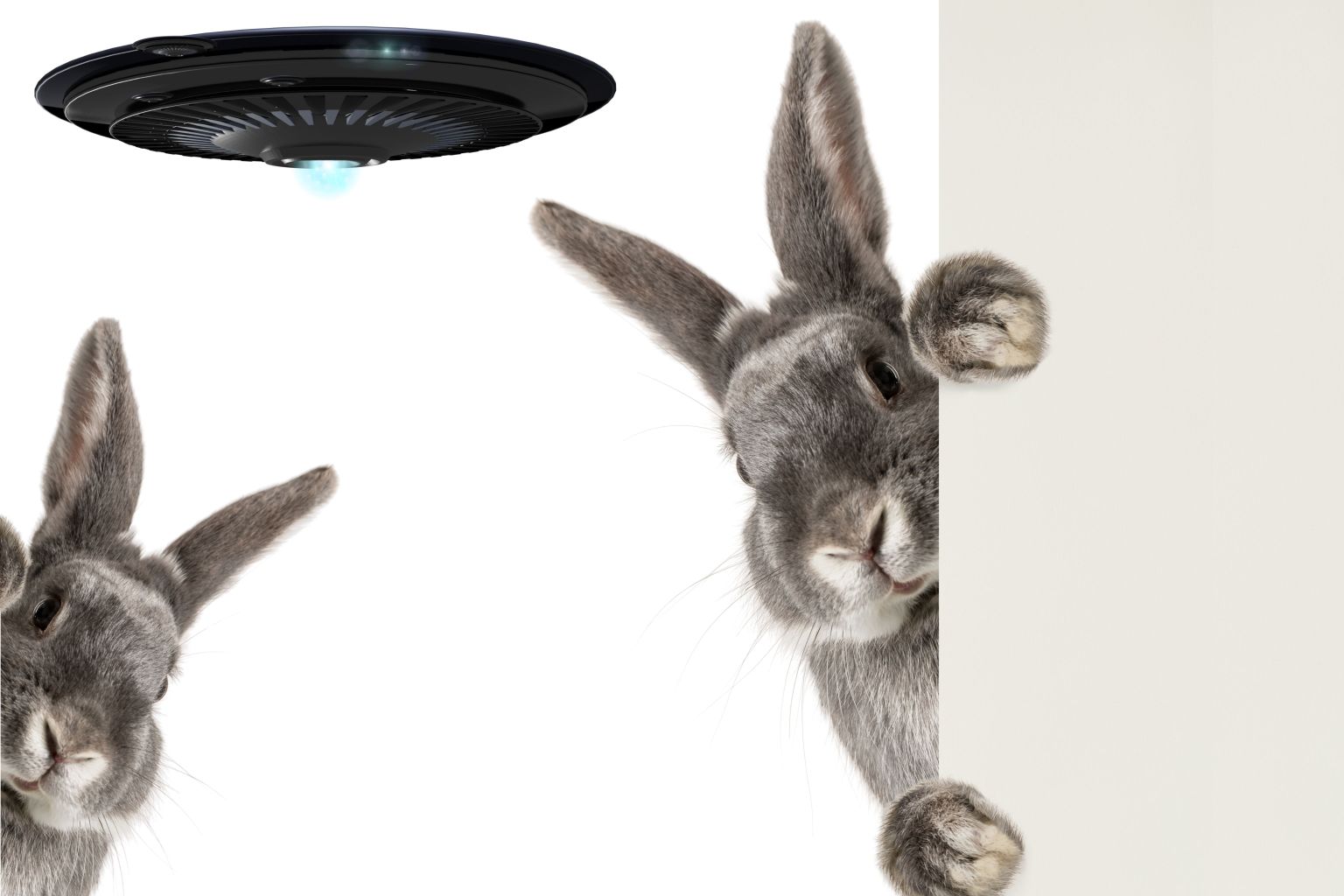 UFO Day - Aliens At The Picnic | Story By Sivakumaran, Chennai