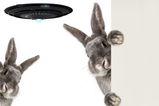 UFO Day - Aliens At The Picnic | Story By Sivakumaran, Chennai