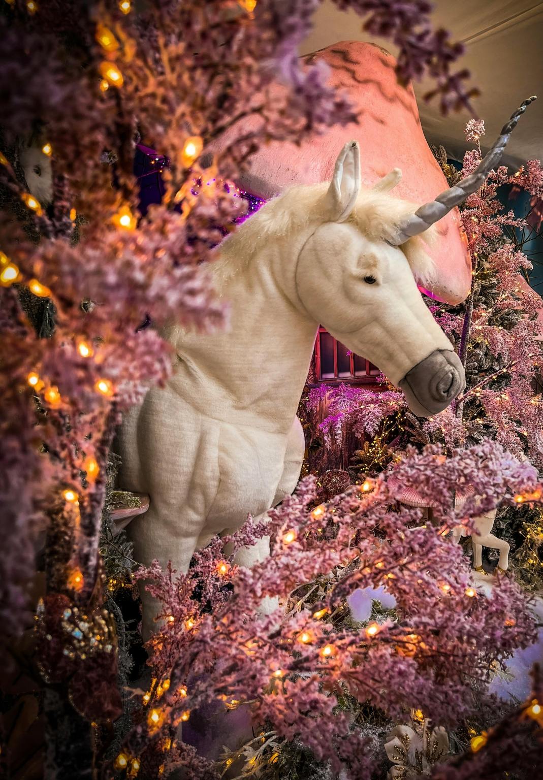 The Princess Of The Unicorn Land-pexels