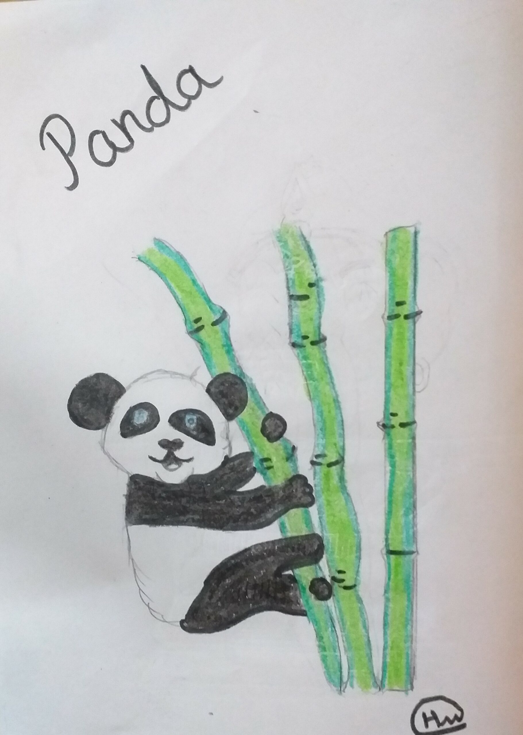 Art with Sara by kids for kids Panda Bookosmia