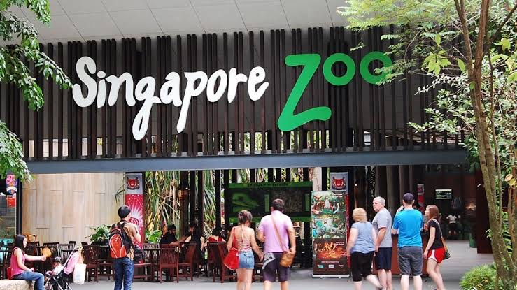 Singapore trip - My adventure at the Singapore zoo