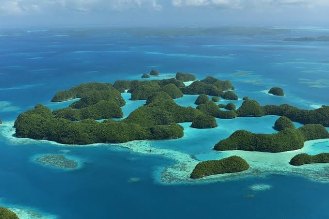 Palau Islands tourism - Dear friend, I would love to visit