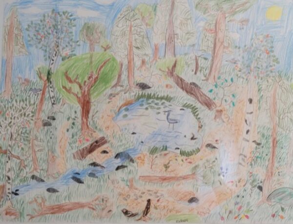 Adventure - A nature trail to remember