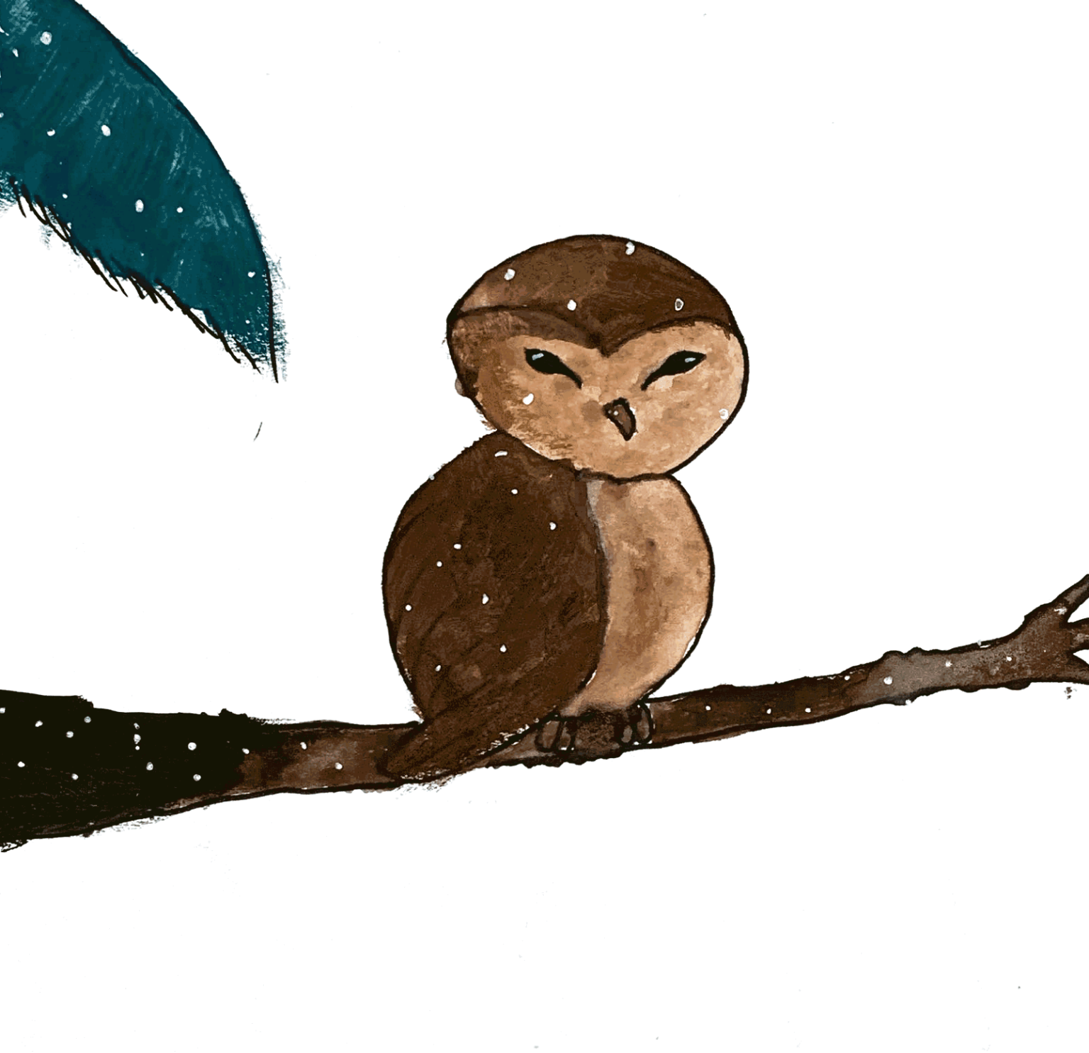 Read with Sara Fascinating bird Owl poem by kid Bookosmia