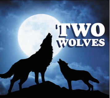 Two Wolves Book Review with Sara Bookosmia