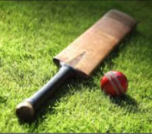 Vaibhav Suryawanshi I Essay by Samar, 10, Kolkata