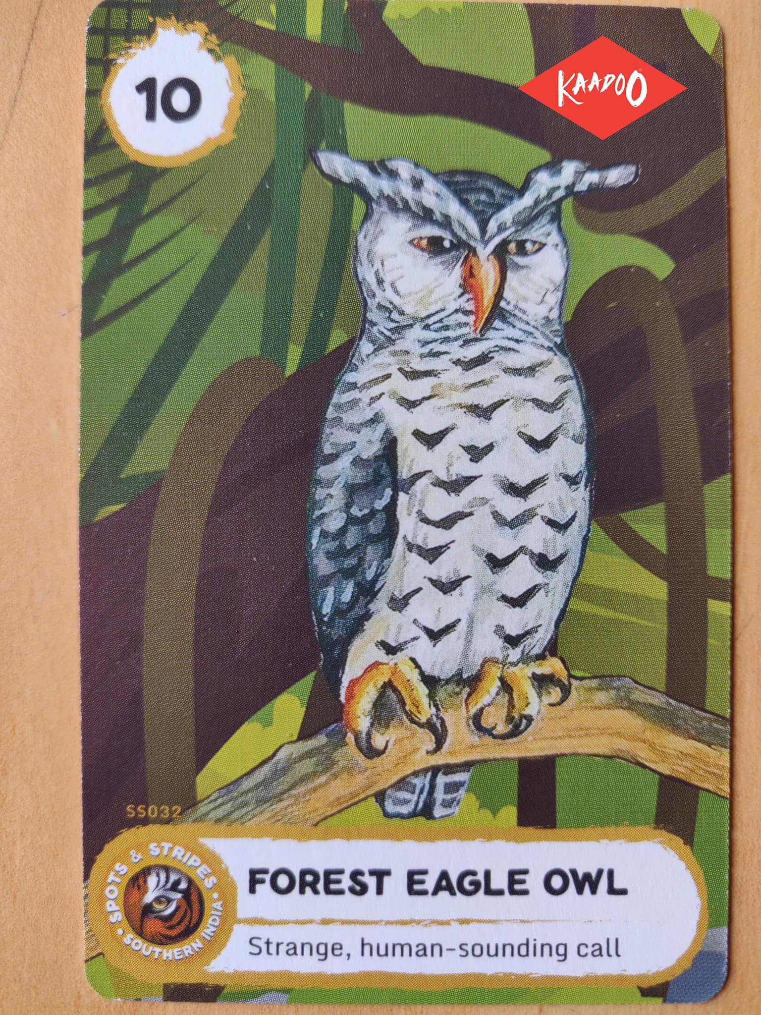 Nature with Sara Forest Eagle Owl Bookosmia