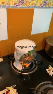 Pongalo Pongal Bookosmia