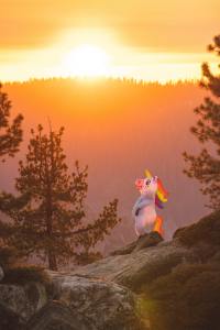 Who will defend the unicorns? | Story | Dhruv,10,Kolkata