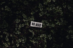 No war poem bookosmia