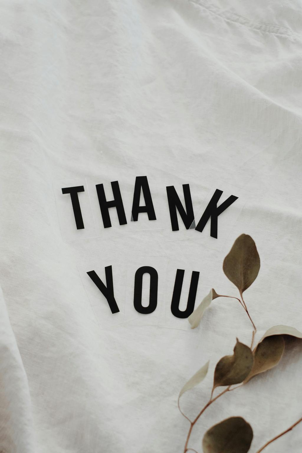 bibliophile thankspexels