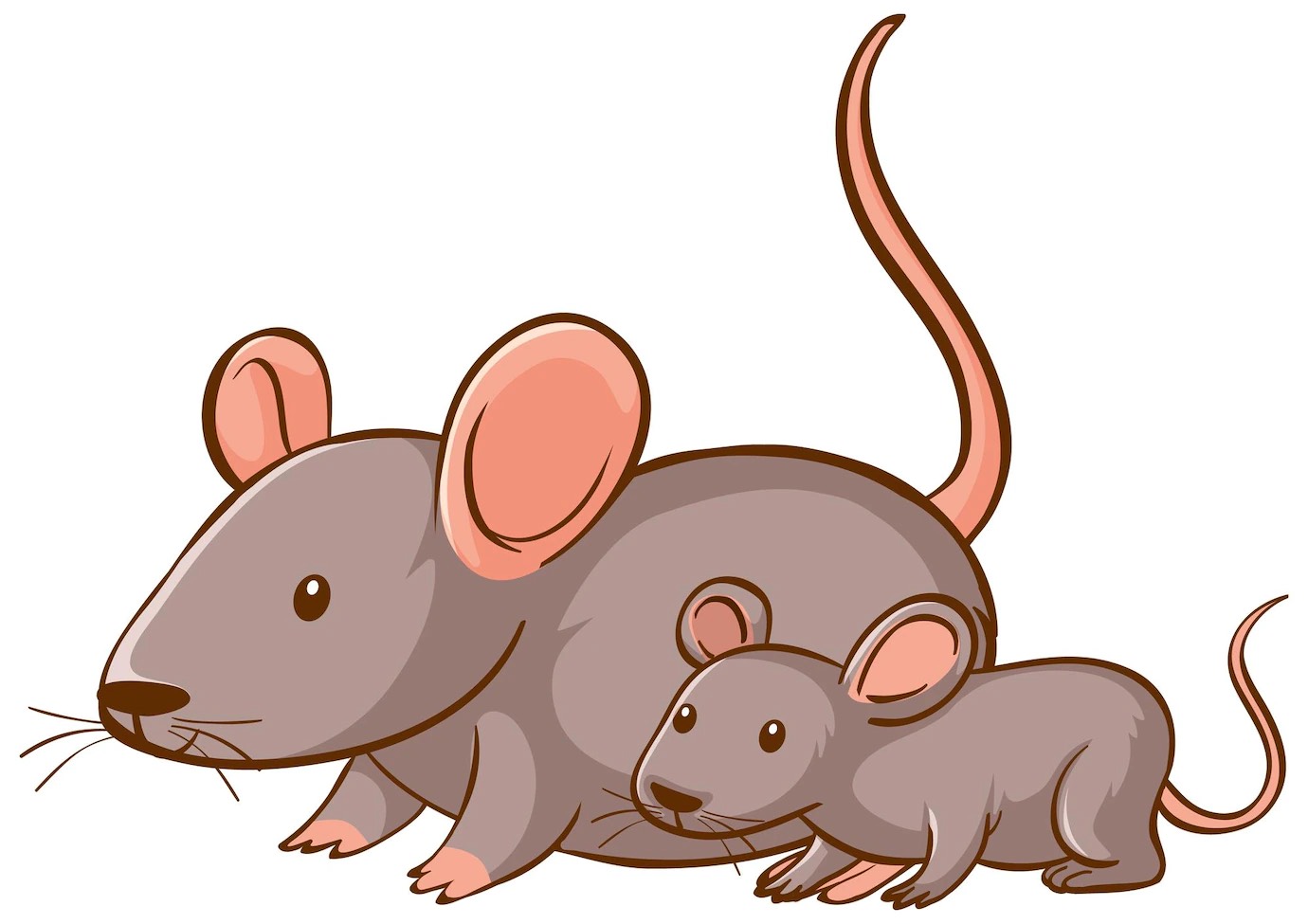 mouse story bookosmia kids
