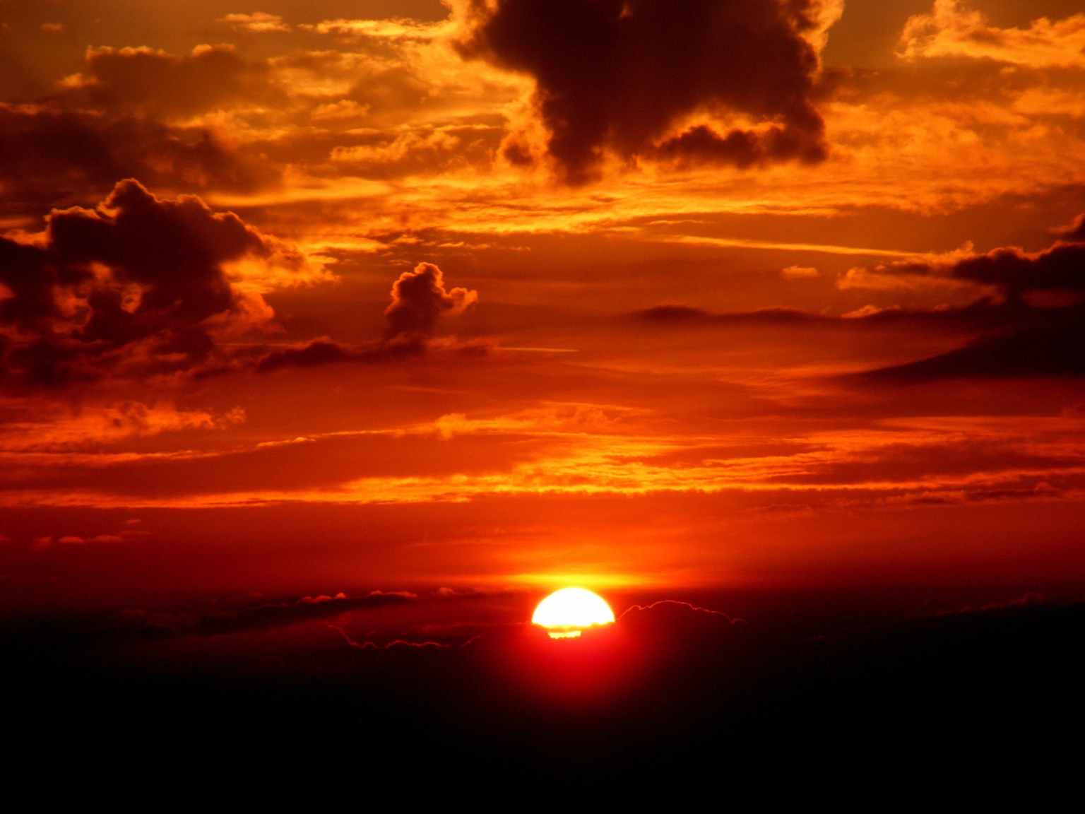 twilight poem kids bookosmia