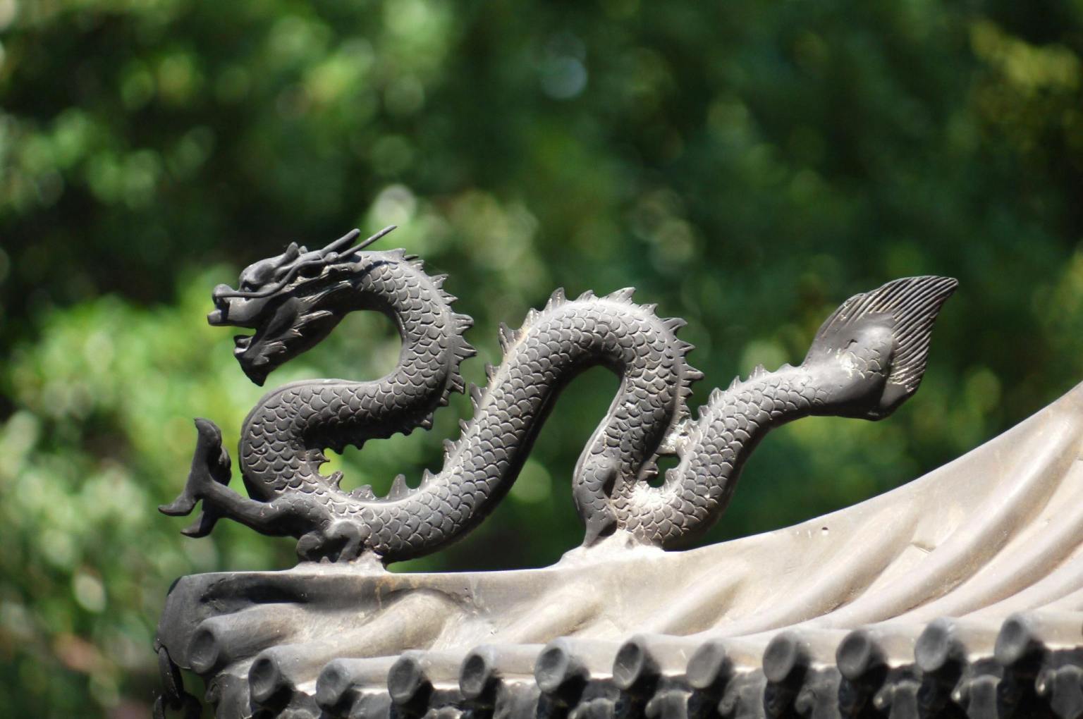 Bandaging the Dragon | Story by Eshaan, 10, Bangalore
