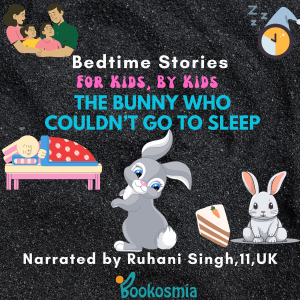 The bunny who couldn't go to sleep.png