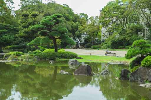 The lonely garden Kailash Annamalai. S, an 11-year-old from Thanjavur