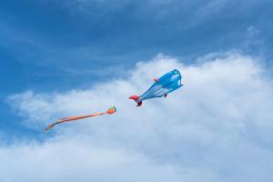 My Kite flying so high I Poem By Kriti, 6, Bangalore