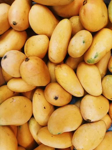Mango : My Favourite Fruit I Poem by Jash, 10, Ahmedabad