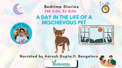 A Day In The Life Of A Mischievous Pet I Bedtime Story By Aarush Gupta, 11, Bangalore