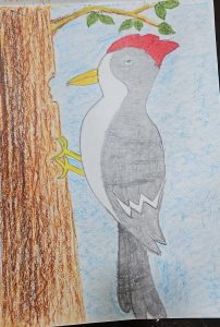 I Play With Colours I Art By Bani, 7, Bangalore