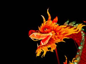 The Last Dragon I Story by Aarush, 11, Bangalore