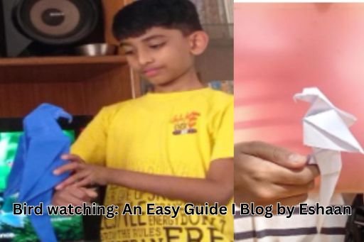 Bird watching: An Easy Guide I Blog by Eshaan, 10, Bangalore17