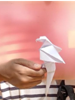 Bird watching: An Easy Guide I Blog by Eshaan, 10, Bangalore14