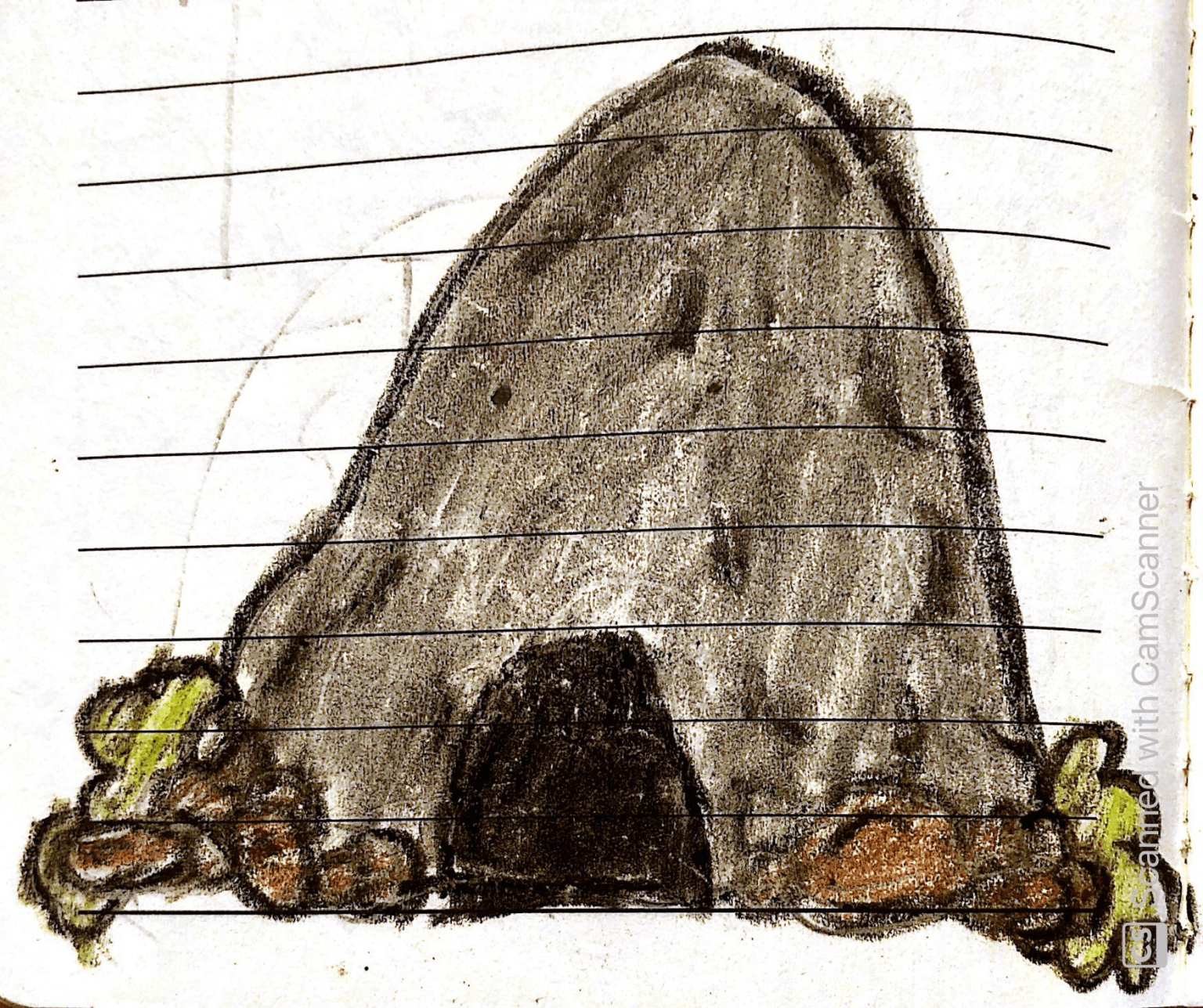 The Spooky Cave I Story by Omi, 7, Canada