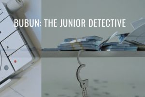 Bubun: The Junior Detective I Story By Shampayan, 11, Kolkata