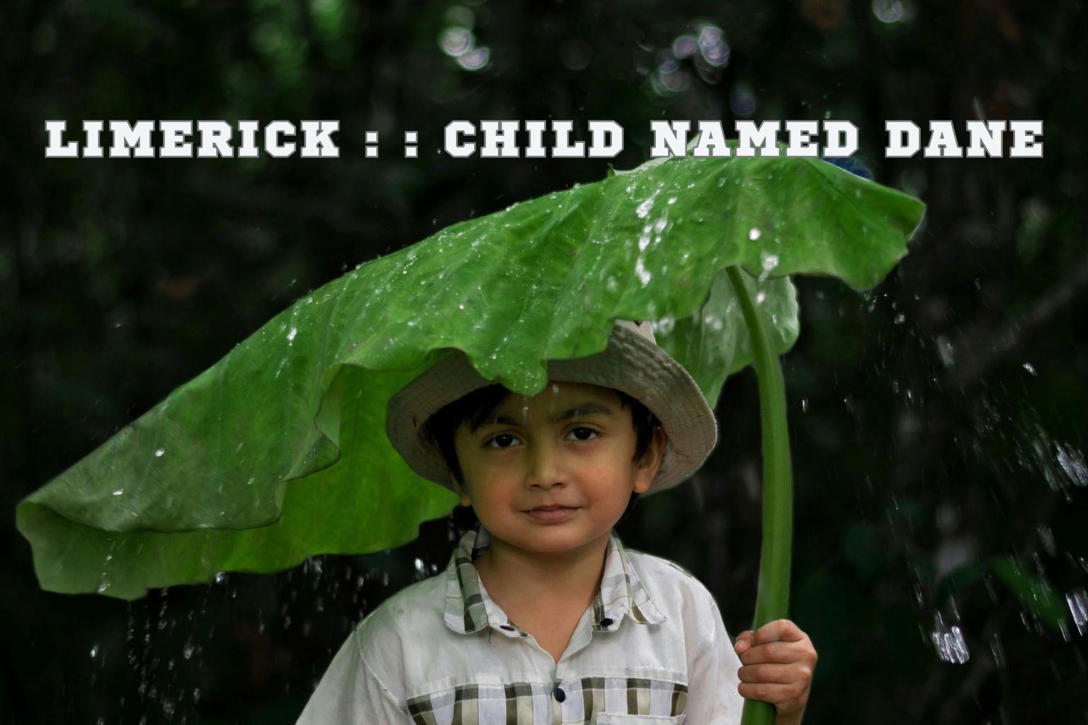 Limerick : Child named Dane I Poem By Darsh, 8, Kolkata