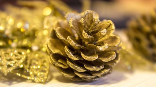 20+ Simple Christmas DIY ideas for gifts and Decorations that will light up hearts!