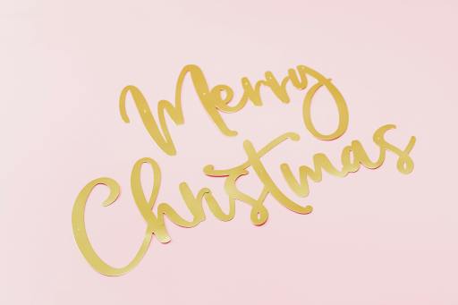 Leading our way to a Sustainable Christmas I Blog By Navika, 13, Noi