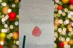 Letter To Santa I Mishka,6,Bangalore