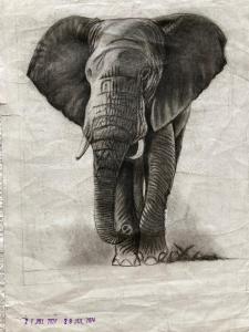 Wild Animals I Art By Priyanshi,11,Navi Mumbai