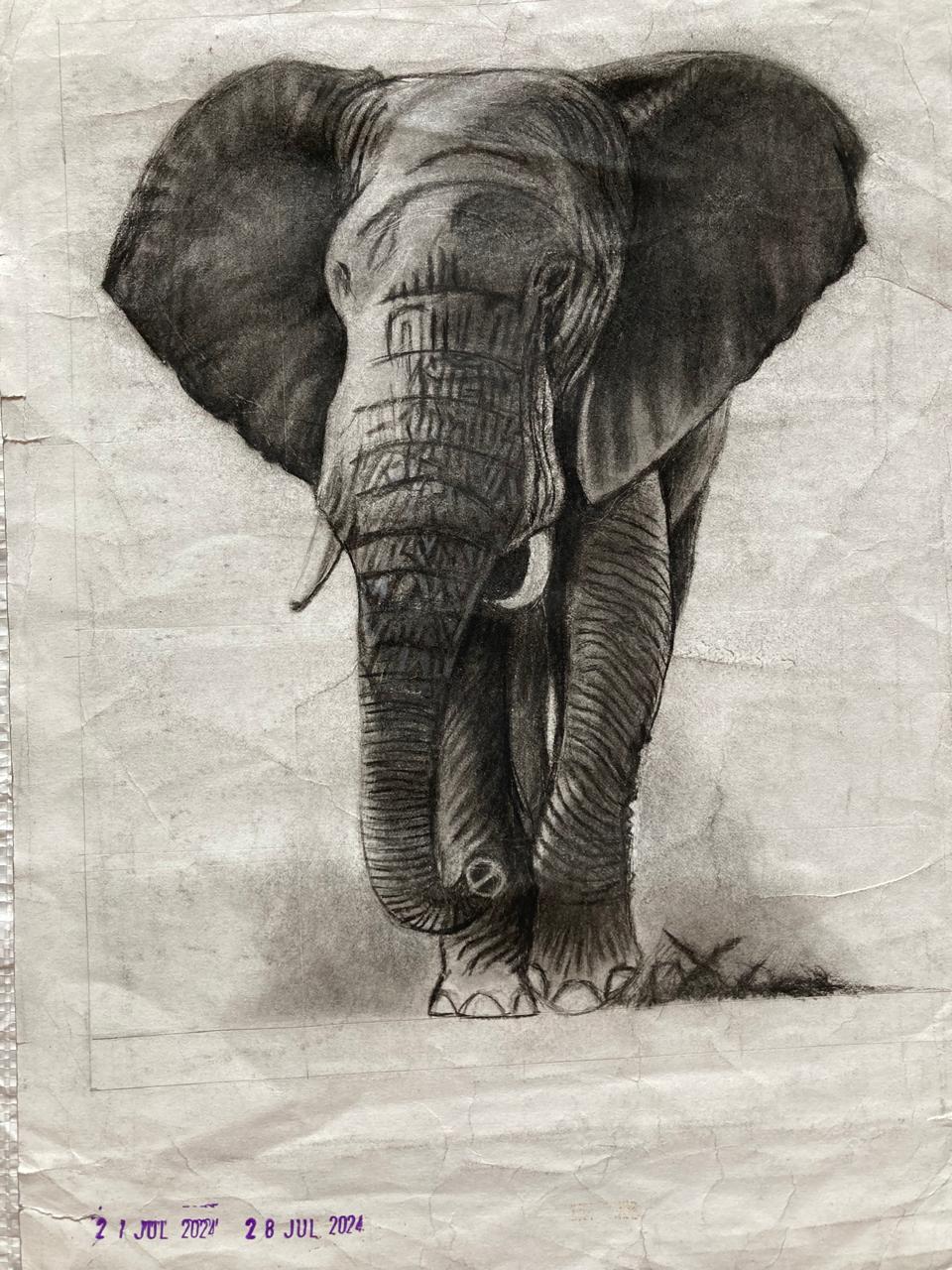 Wild Animals I Art By Priyanshi,11,Navi Mumbai