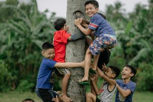 The Game Of Catch I Story by Tarun,9,Bangalore