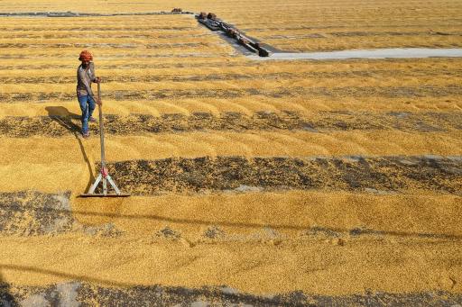 The Flame That Refused To Die I Poem By Arika,11,Faridabad