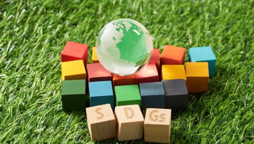 Sustainable Development Goals I Poem By Aganya, Silvassa