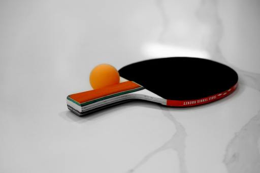 Why to play Table Tennis I Essay by Samar,Kolkata