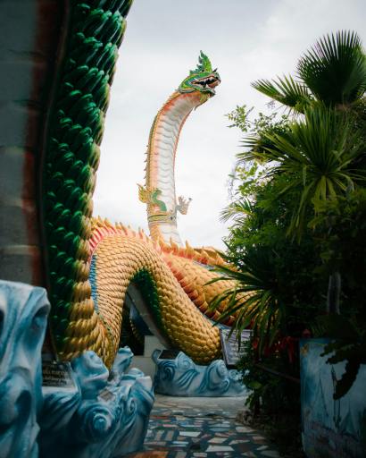 Terror In The Skies I Poem By Jhanvi, 13, Mumbai