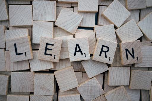 Why Slow Learning Is A Blessing I Blog By Debadrita, Haripal