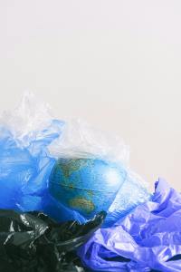 Environmental Impact of Plastic bags I Blog By Saksham