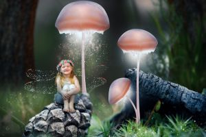 Leo And The Fairy I Story By Aaranyak, 10, kolkata