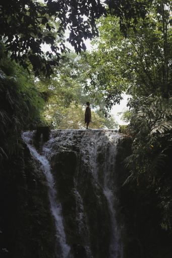 The Chronicles Of The Jungle I Story By Dhriti, New Delhi