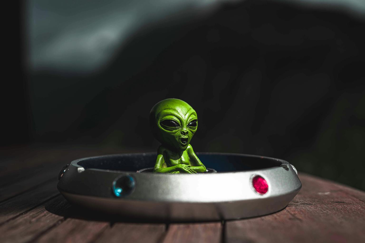 An Alien in My Backyard I Story By Shaurya, Thane