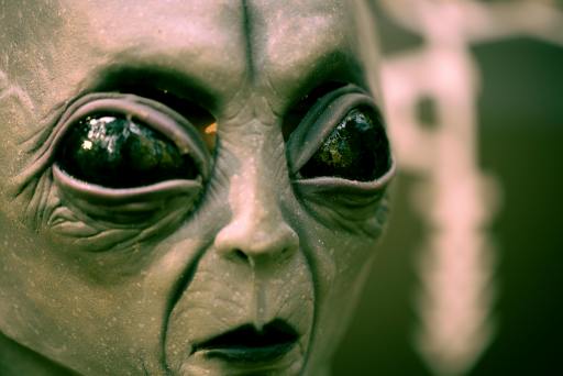 An Alien in My Backyard I Story By Shaurya, Thane