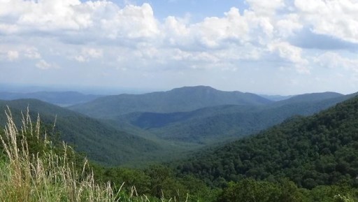 The Breathtaking Adventure to Shenandoah National Park I Blog By Param, Boston